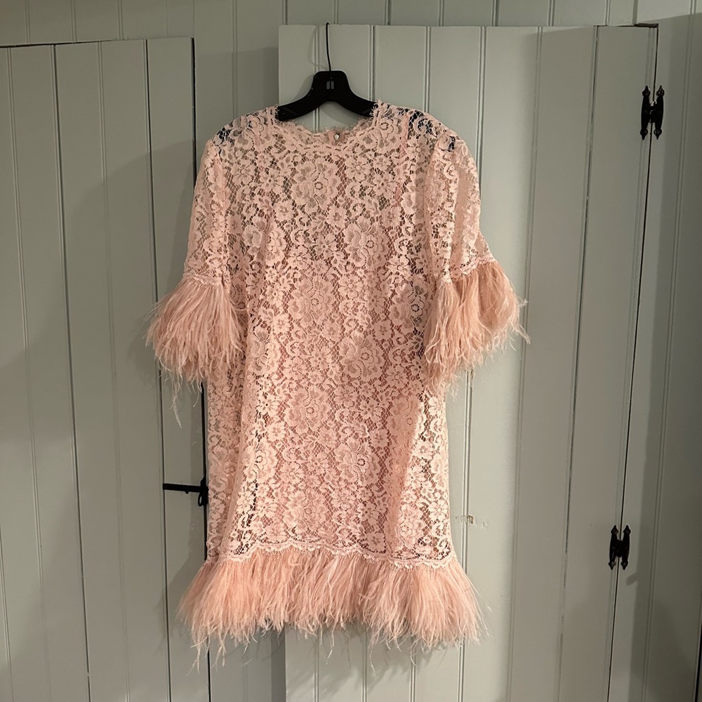 Dolce & Gabbana Feather Trimmed Lace Mini Dress
